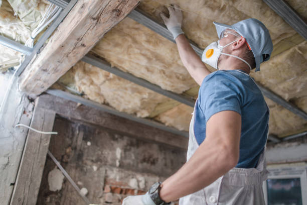 Best Professional Insulation Contractor  in USA